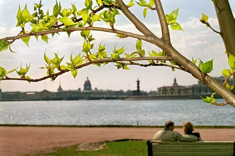 Экскурсии в петербурге в мае. Санкт-петербург в апреле. апрель природа санкт петербург. весна в петербурге. петербург весной.