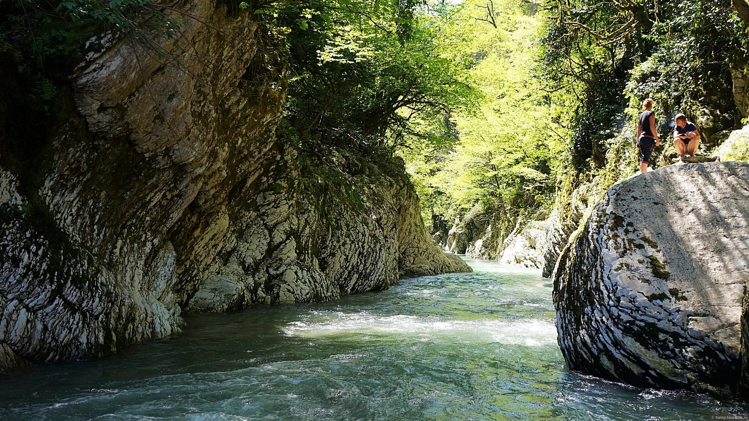 Самшитовая роща сочи чертовы ворота. Каньон чертовы ворота сочи. Тисо-самшитовая роща и каньон чертовы ворота сочи. Тисо самшитовая роща чертовы ворота. Каньон чертовы ворота.