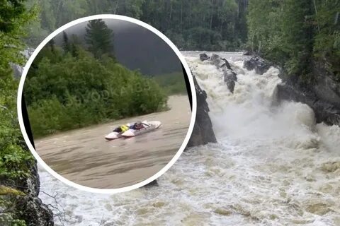 Охотятся сутки если выживет получит 24.5