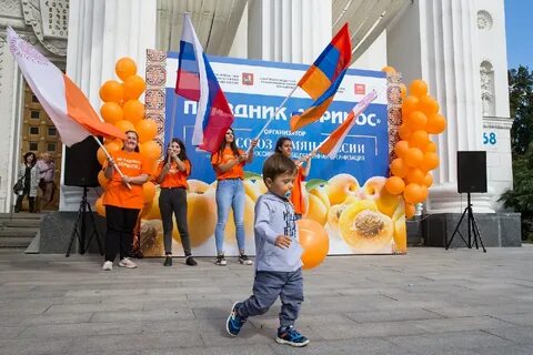 Праздник абрикоса в москве 2024 году