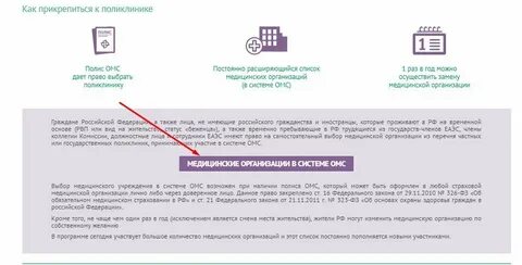 Полис куда прикреплен