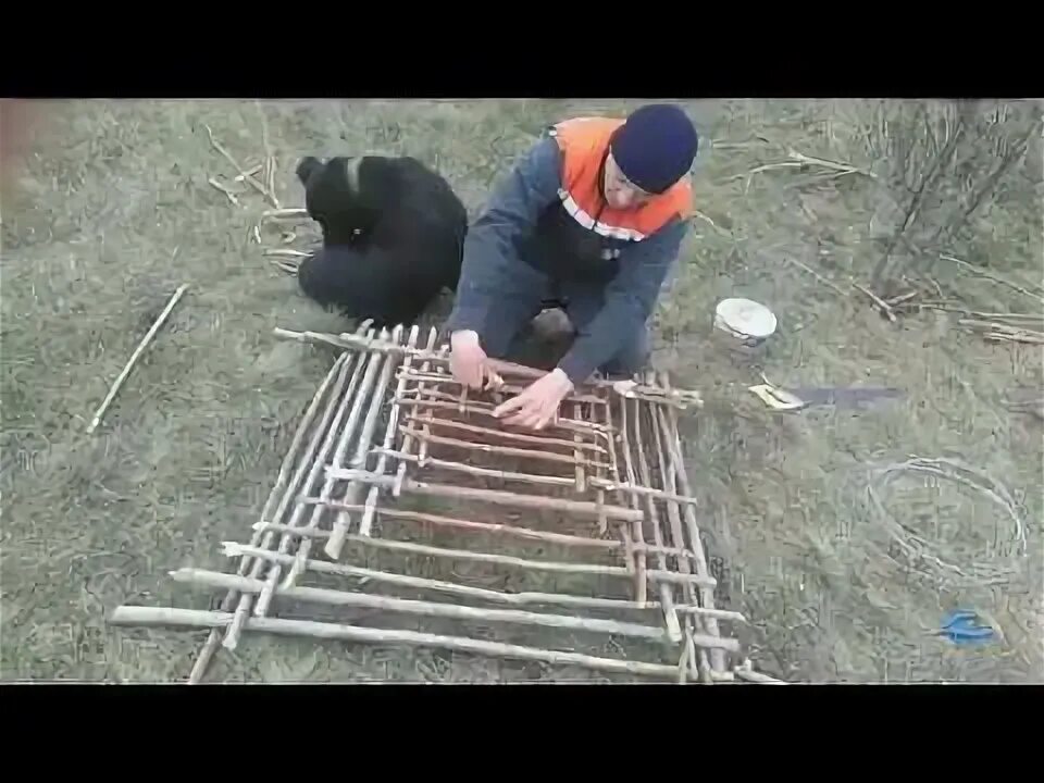 Чертежи ловушки фазана. ЛОВУШКА для фазана пирамида. ЛОВУШКА лучок на фазана. ЛОВУШКА ЛОВУШКА для фазанов. Живоловушка на фазана