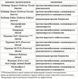 Какие прививки нужно делать кошке обязательно