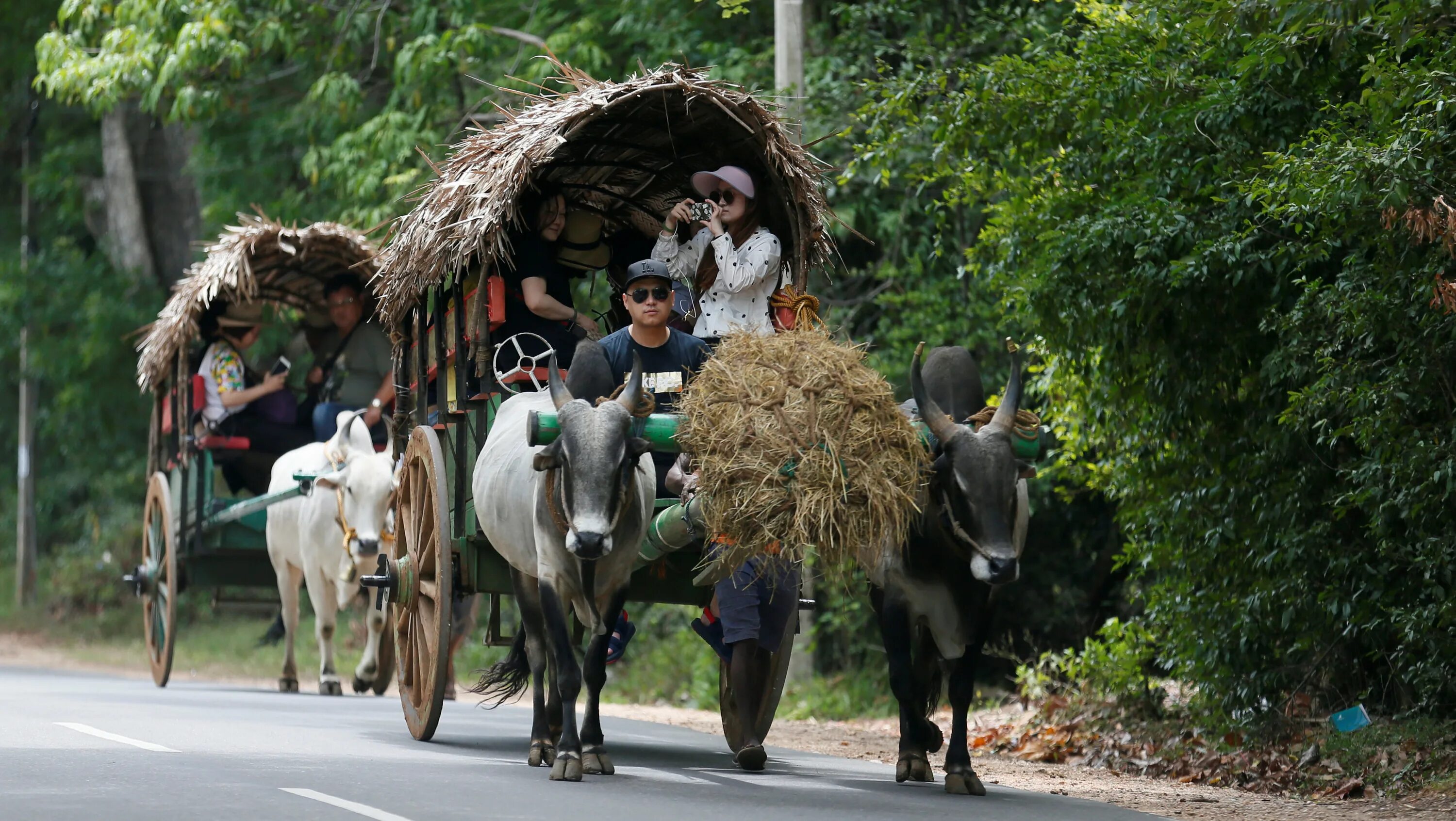 Шри ланка народ. Шри Ланка местные жители. Ланкийская деревня. Шри Ланка деревня. Шри Ланка люди.