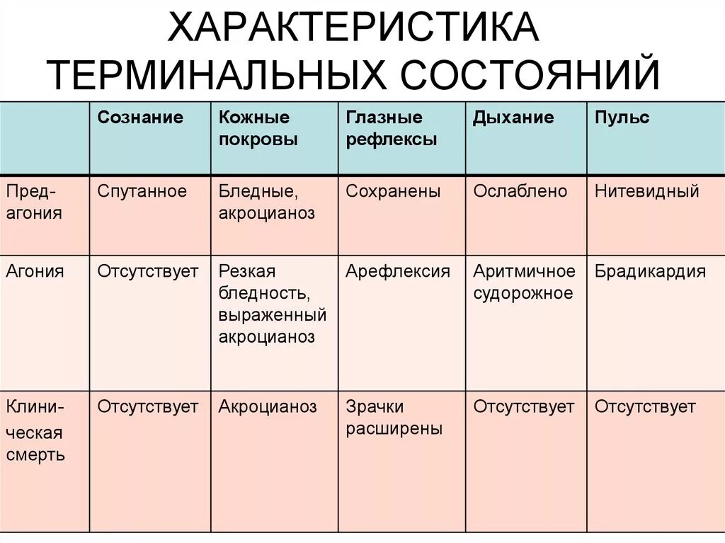 Терминальные состояния. Стадии терминального состояния и их клинические проявления. Клинические проявления терминальных состояний таблица. Клинические проявления терминальных состояний по стадиям. Стадии терминального состояния таблица.