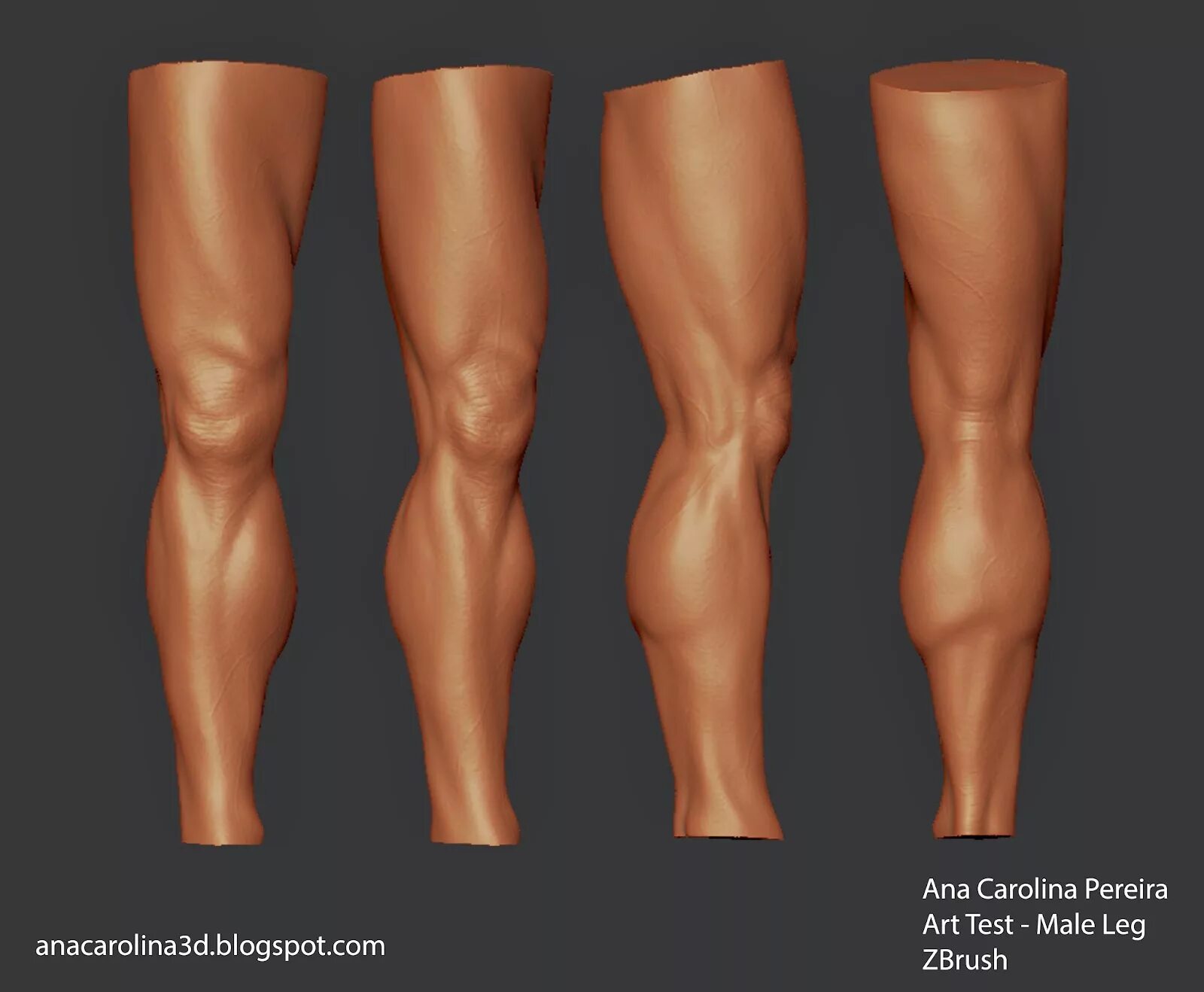 Leg reference