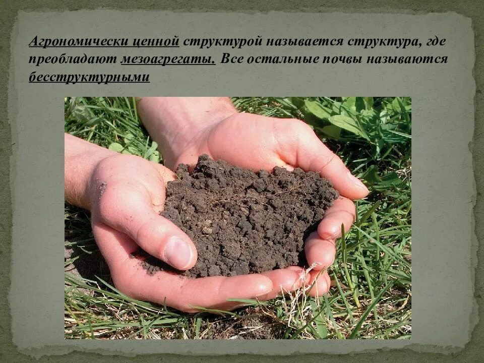 Состав почвы. Агрономически ценная структура почвы. Комковатая структура почвы. Структура почвы. Почва структура почвы.