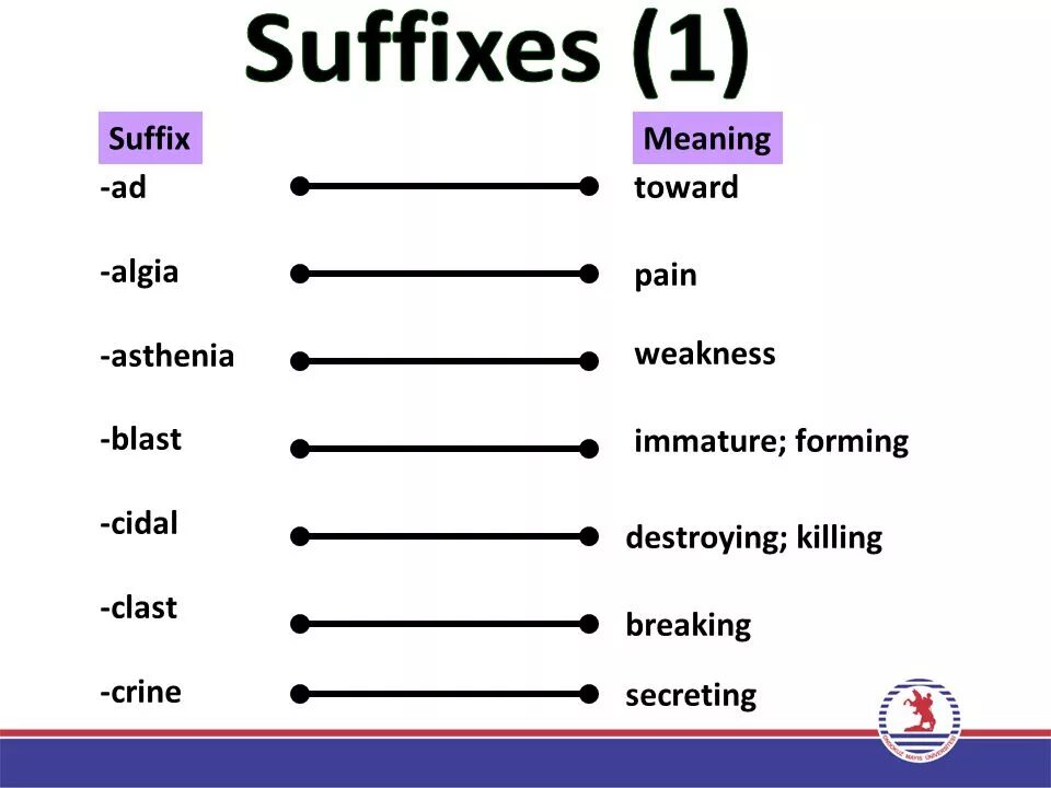 Suffixes meaning. Suffix запчасти. Prefixes and suffixes. Suffix ie. FX-1056 suffix диск.