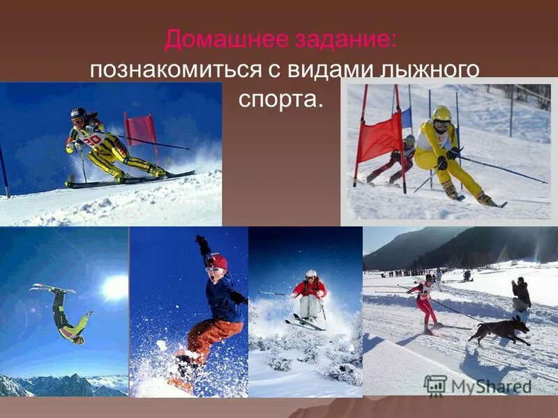 Лыжи спорт название. Виды лыжного спорта. разновидности лыжных видов спорта. три вида спорта с лыжами. какие виды лыжного спорта.