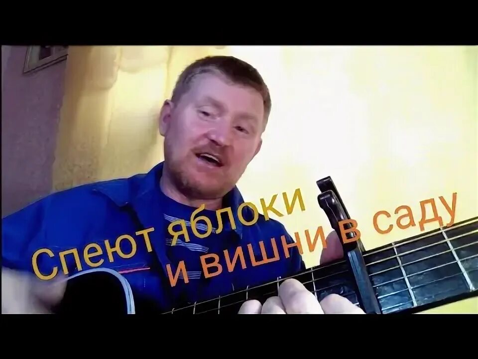 Стих про яблоко. Стихотворение про яблоко. Приснились яблоки к чему. Стихотворение про яблоко. Стих про яблоню для детей.