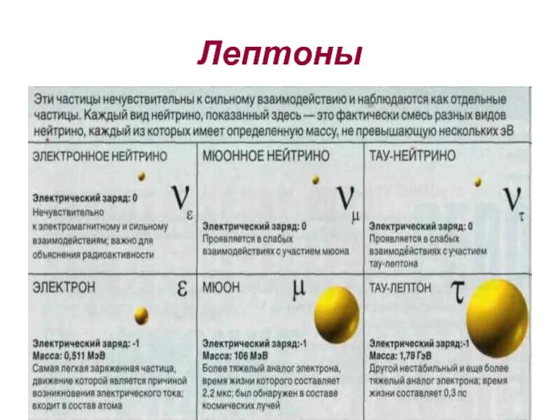 Элементарные частицы адроны лептоны. Лептоны это элементарные частицы. Типы лептонов. Частицы относящиеся к лептонам. Строение элементарной частицы