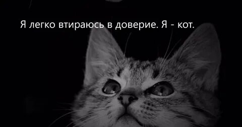 Втереться в доверие