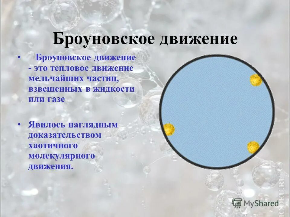 Модель броуновского движения. Броуновское движение в жидкости. Броуновским движением является. Движение частиц в жидкости.