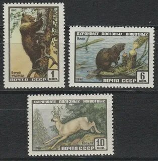 1960 животного