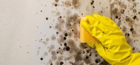 Как почистить золото в домашних условиях: быстрые и эффективные способы