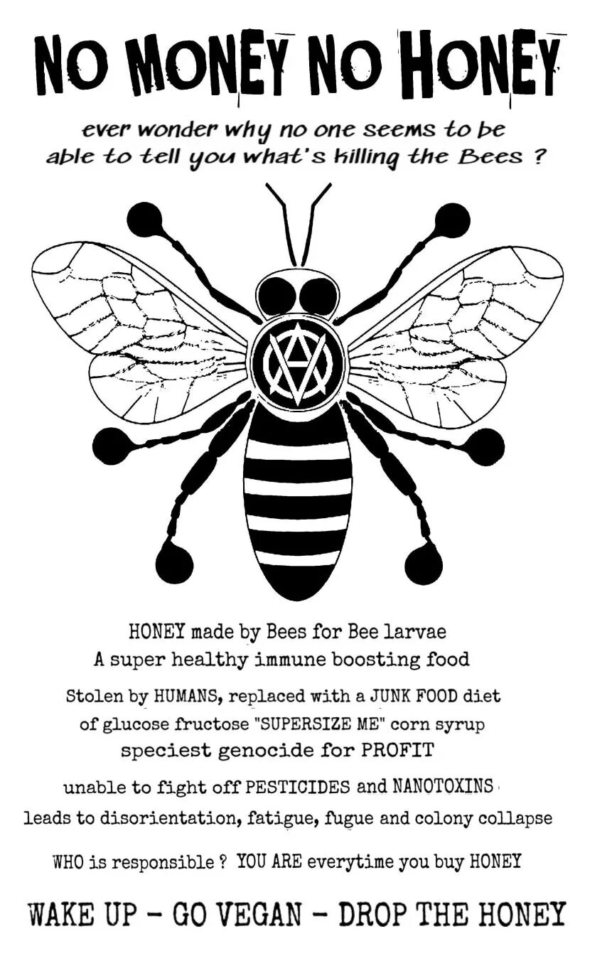 No money no Honey. Поговорка no money no Honey. No money no Honey демотиватор. Ной Хани. Honey is перевод