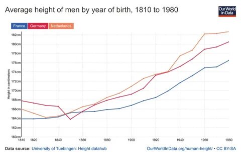 Average height