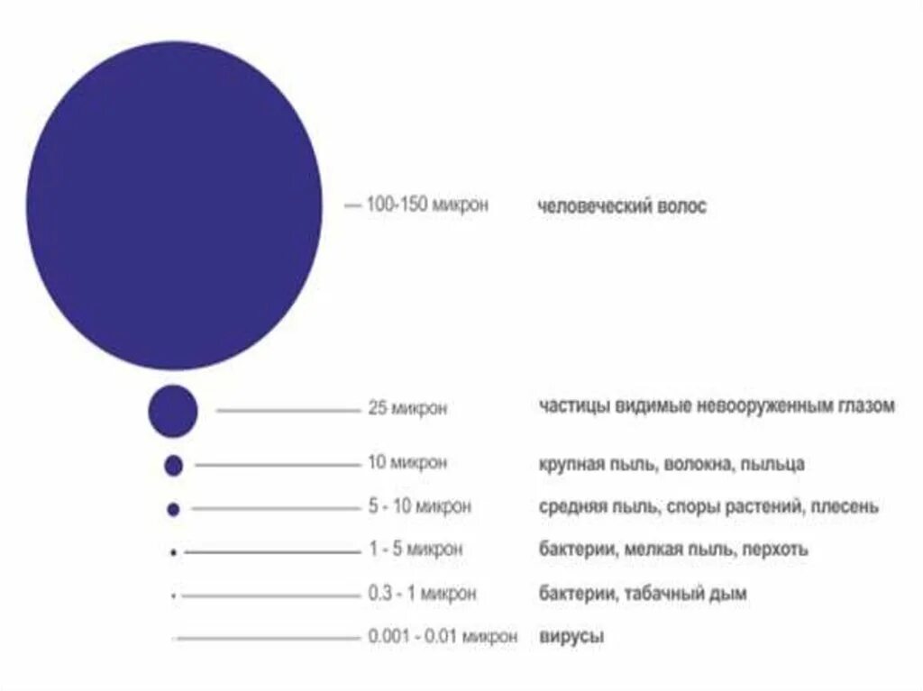 Размер пыли в микронах. Толщина 1 микрон. Размер вирусов в микронах. Размеры частиц в микронах. Сравнение размеров частиц