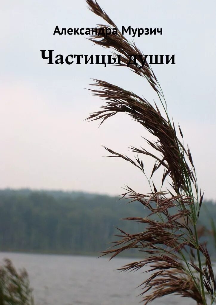 Ни души частица. Частица души. Частица книги. Частица души с проклятием.