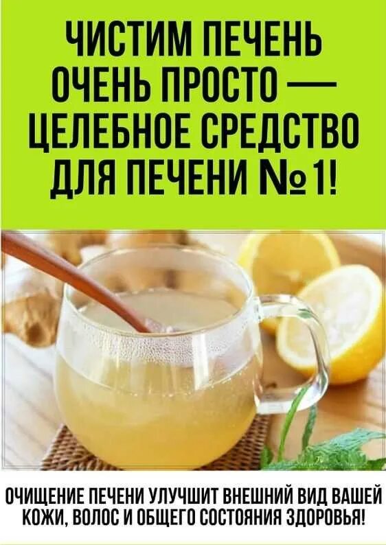 Как можно почистить печень. Чистим печень. как очистить печень. очищение печени народными средствами. очистить печень в домашних условиях.
