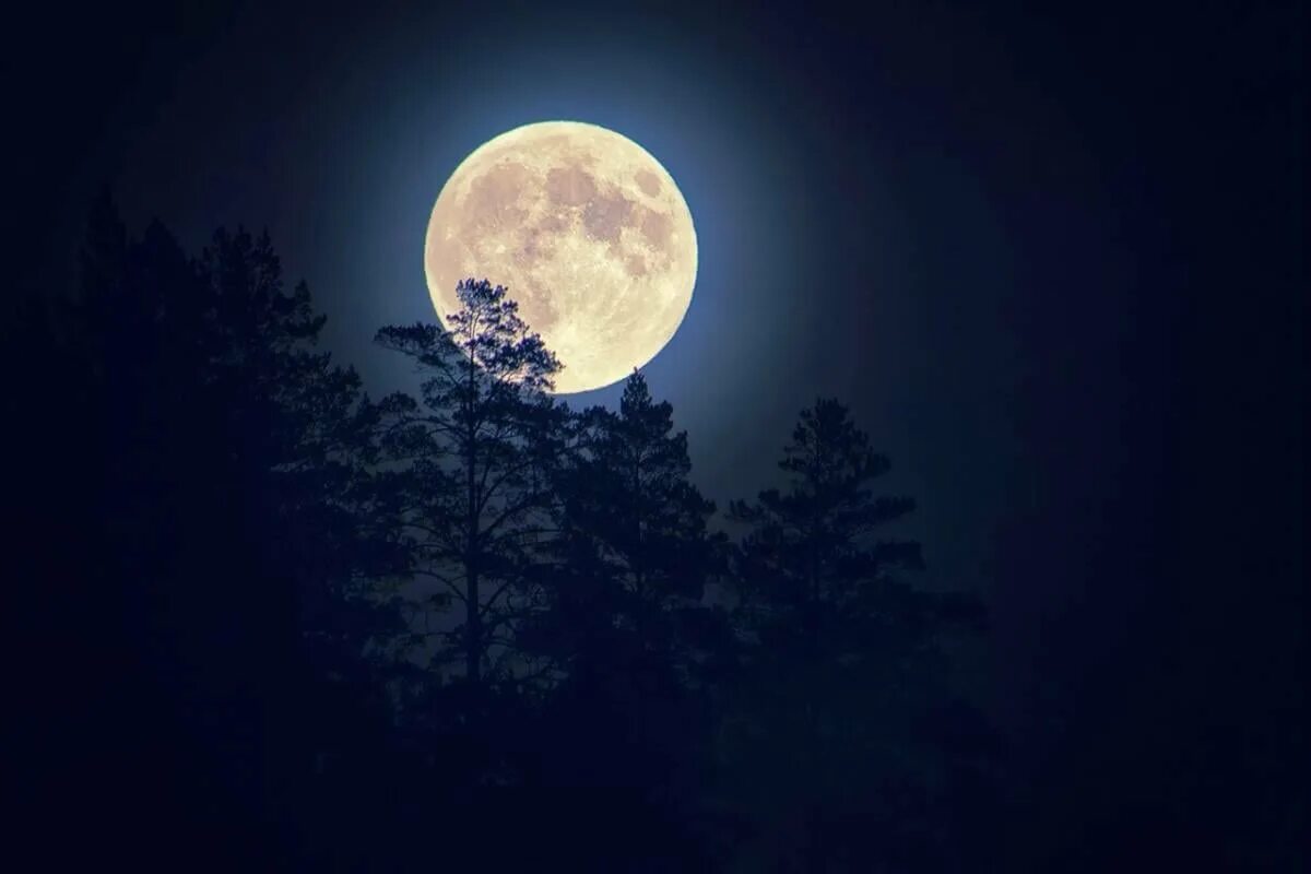 Луна картинки. Полнолуние. Красивая Луна. Полная Луна. Polnalunie.