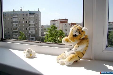 Окна миасс