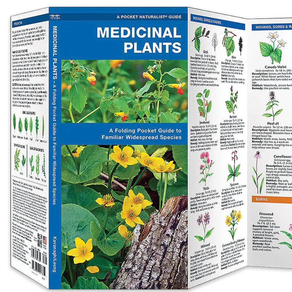 Medicine plants. Medicinal Plants. Medicinal Plants Medicine. Pocket Plants. Outdoor Medical Plants.