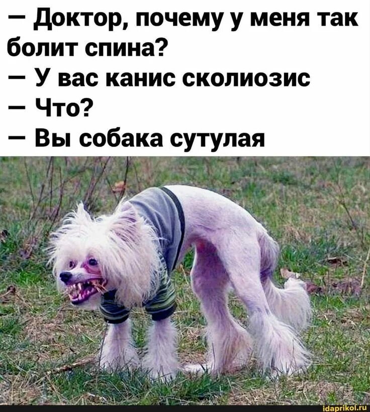 Пин от пользователя Nastya на доске Быстрое сохранение в 2023 г Смешные мемы, См