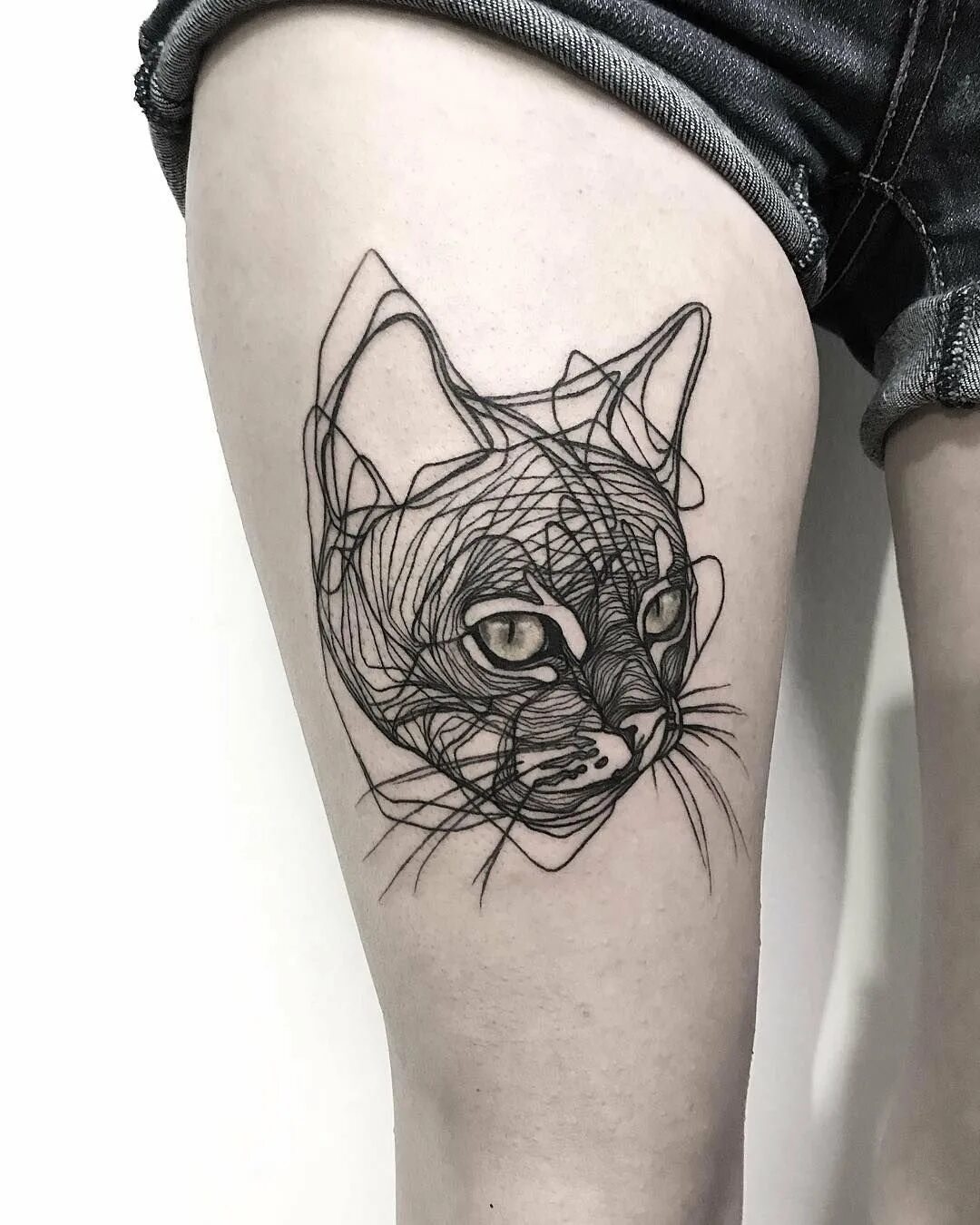 Тату на руку девушке кошка. Тату кот. тату котя. тату кошки для девушек. тату кошка на руке.