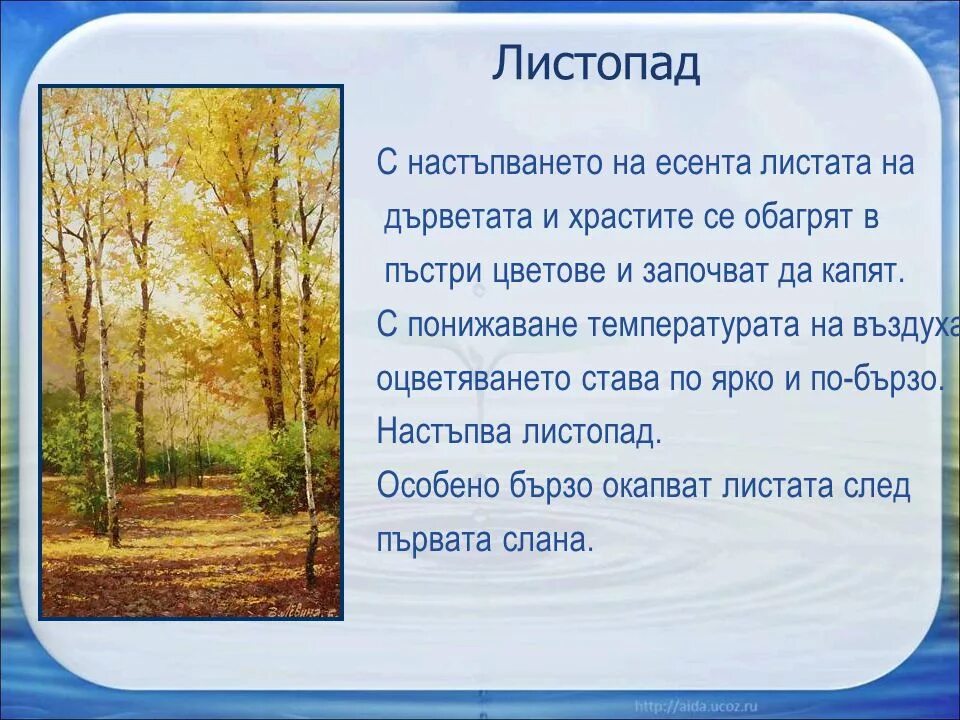Составить текст осенний лес