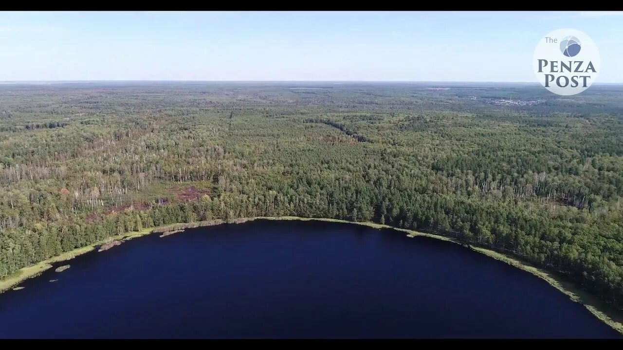 Мертвое озеро Пенза Леонидовка. Леонидовка Пензенская область Мертвое озеро. Круглое озеро Пенза Леонидовка. Озеро Леонидовка Пенза.