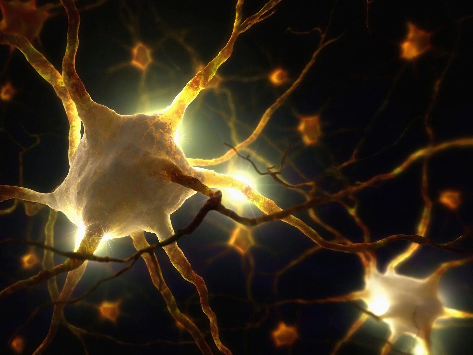 Клетки мозга человека состоят из. Нервная клетка. Нейроны мозга. Нейронная клетка. Что такое нейтрон в головном мозге.