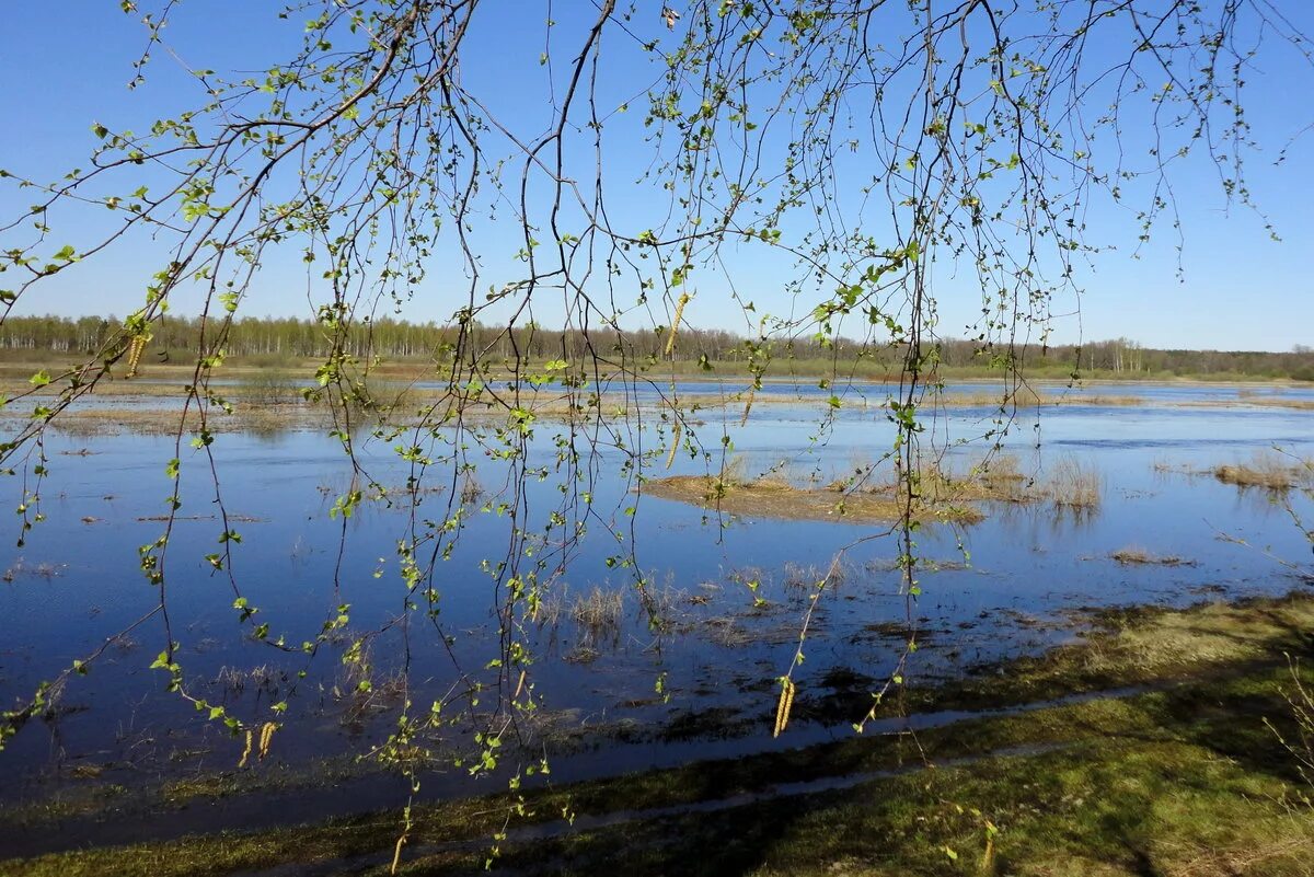 Апрель половодье