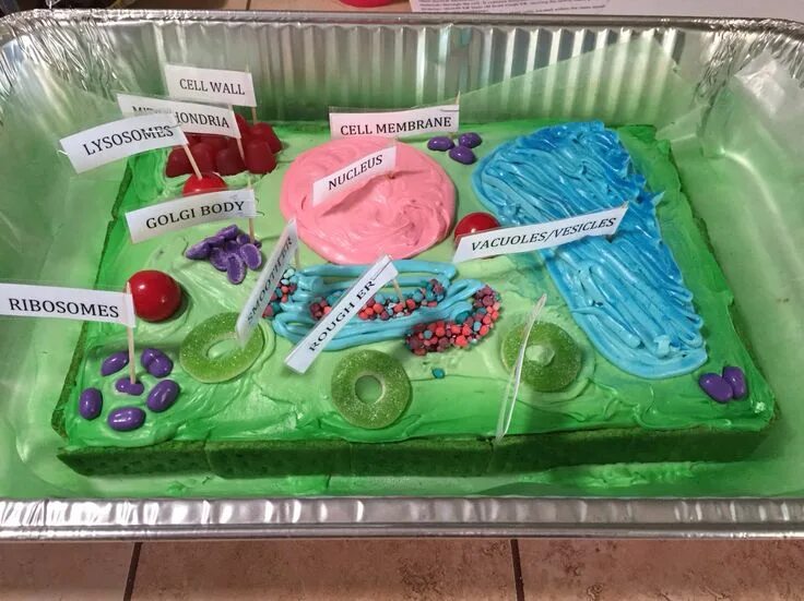 Cell project
