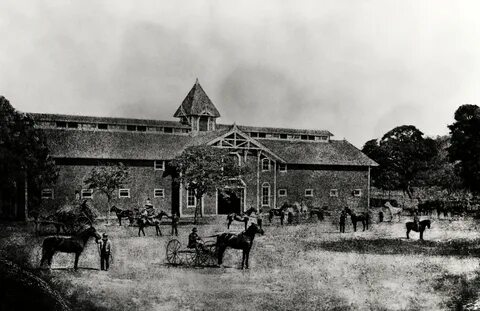 1800 s