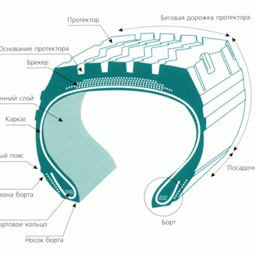 Строение шины. Беговая дорожка протектора шины. Строение грузовой шины. Толщина резины шины автомобиля в разрезе. Ширина беговой части протектора.