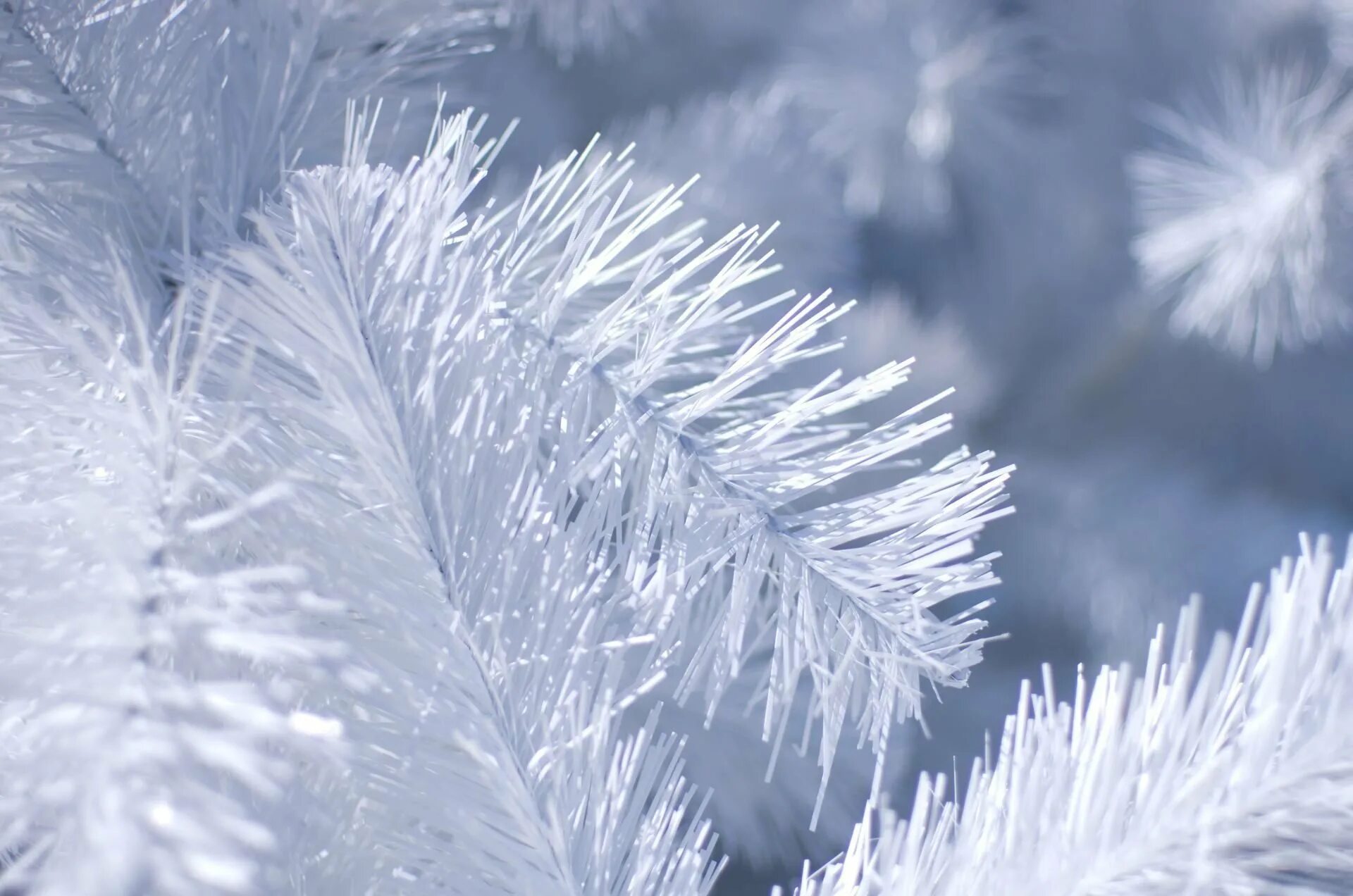 Green trees ель снежная, 90 см. Серебристое дерево. Серебристый снег. Заснеженное серебро. Ель в снегу.