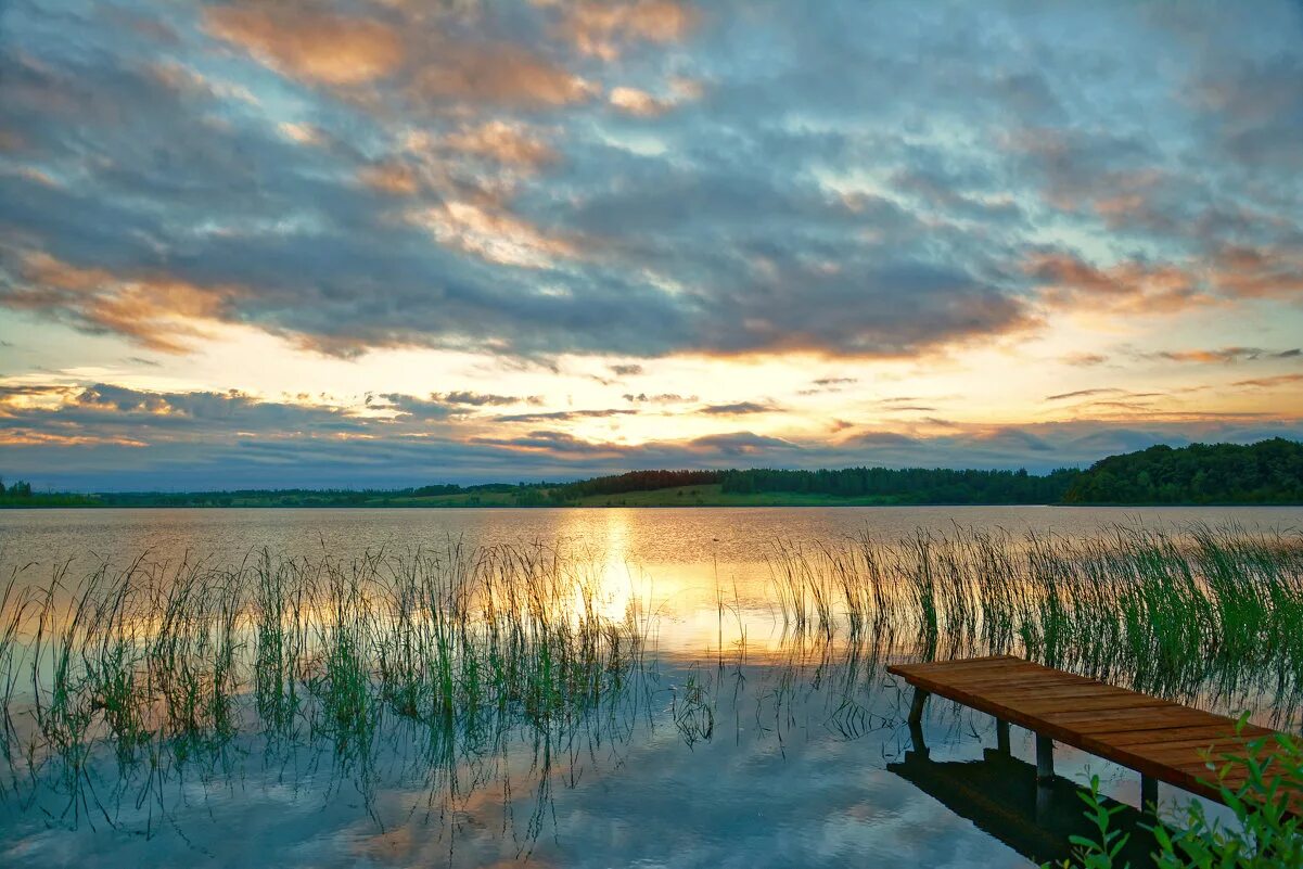 Заря 6 букв. Заря 6 букв. Утренняя зоря или заря. Природа рассвет. Роза утренняя заря.