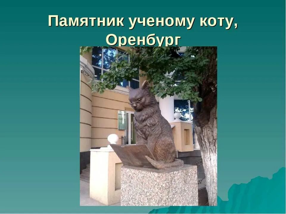 Кот ученый оренбург. Памятник ученому коту в оренбурге. памятник коту ученому в санкт-петербурге. кот ученый памятник в спб. скульптура кот ученый калуга.