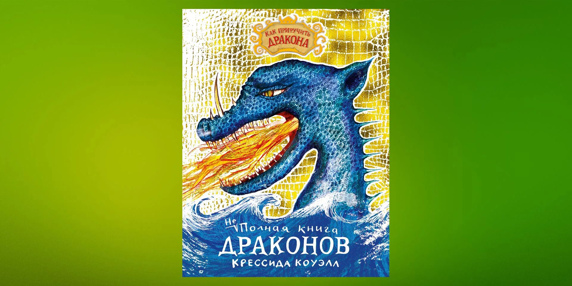 12 драконов книга. Неполная книга драконов Крессида Коуэлл. Неполная книга драконов книга. Крессида Коуэлл как приручить дракона. Книга дракона.