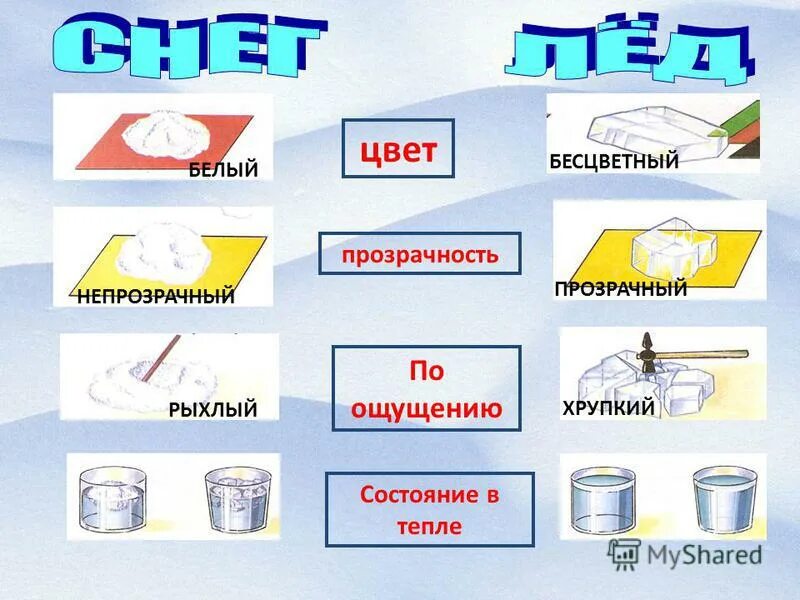 Трафарет амон. Безцветный или бесцветный правило. Что значит бесцветный. Предложение со словом бесцветная жидкость. Бесцветный приставка.