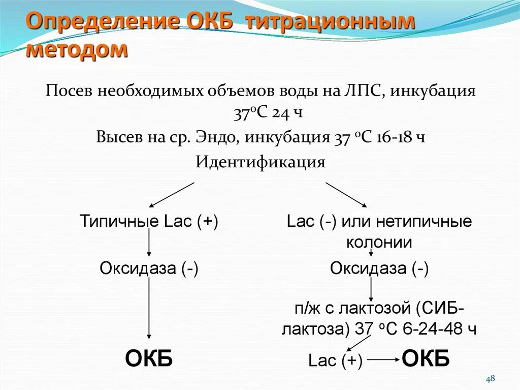 Общие колиформные бактерии в воде