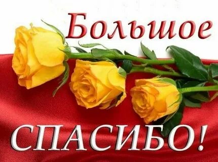Спасибо вам не понять