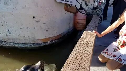 Девочку утащило под воду