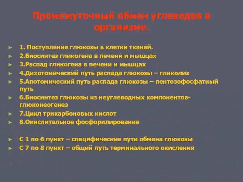 Функции обмена углеводов. Промежуточный обмен углеводов. Процессы промежуточного обмена углеводов.. Промежуточный обмен углеводов в печени. Промежуточный обмен белков.