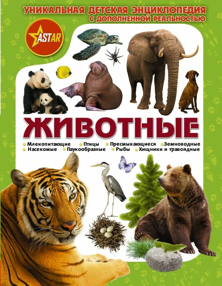 Название книг про животных. Животные. энциклопедия. животные. детская энциклопедия. энциклопедия животных для детей. книги о животных.