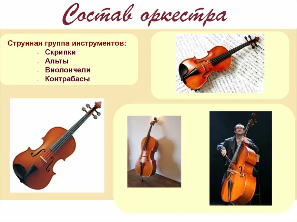Из каких инструмент состоит. Камерный оркестр состав инструментов. симфонический оркестр камерный состав. камерные инструменты с названиями. камерные музыкальные инструменты.