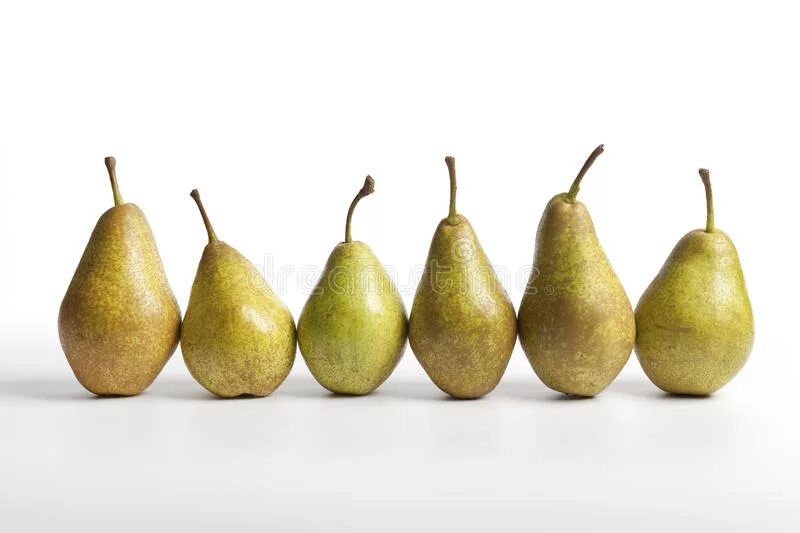 Pear 6. 6 Груш. Груша 6 шт. 7 Груш. Груша 2 штуки.