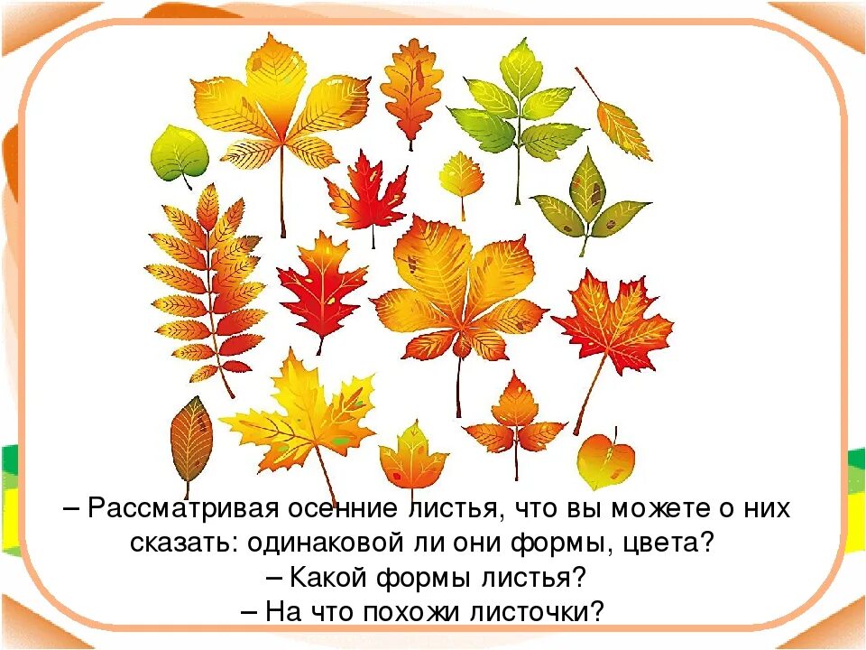 Мастер изображения учит видеть изо 1 класс. Мастер изображения учит видеть изо 1 класс