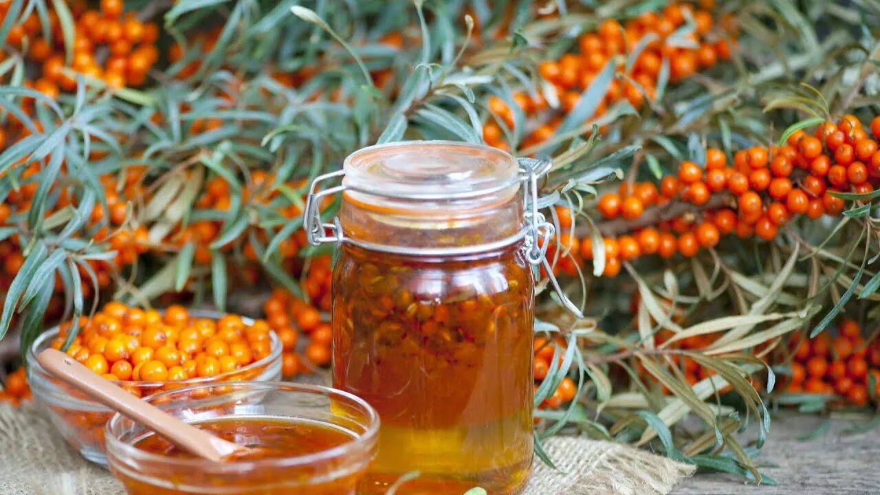 Морс облепиховый (1л). Морс «облепиха». Облепиховой вода. Чай sea buckthorn облепиха. Облепиховая настойка.